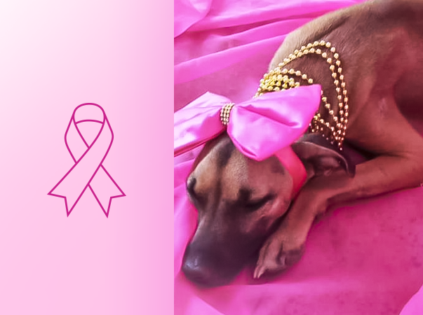 Outubro Rosa Pet: Unileão promove evento em prol da saúde dos animais