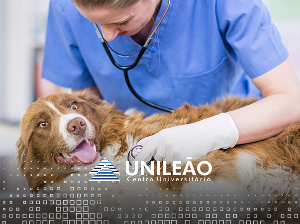 Hospital Veterinário da Unileão divulga edital para aprimoramento prático