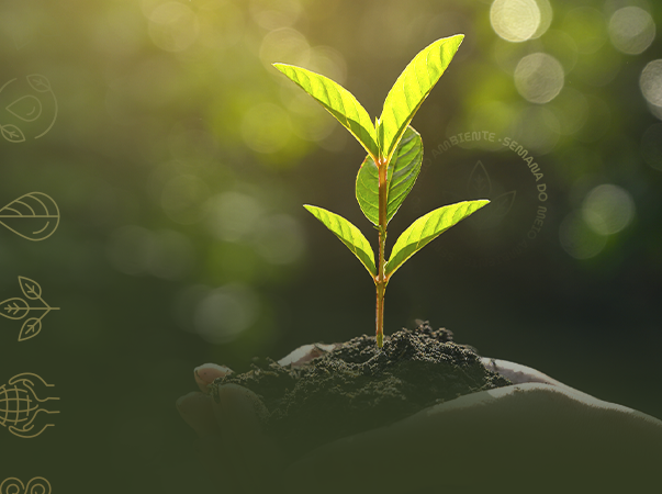 Unileão promove evento em celebração à Semana do Meio Ambiente, confira a programação!