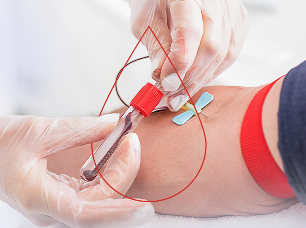 Solidariedade em cada gota: Junho Vermelho promove conscientização sobre a doação de sangue