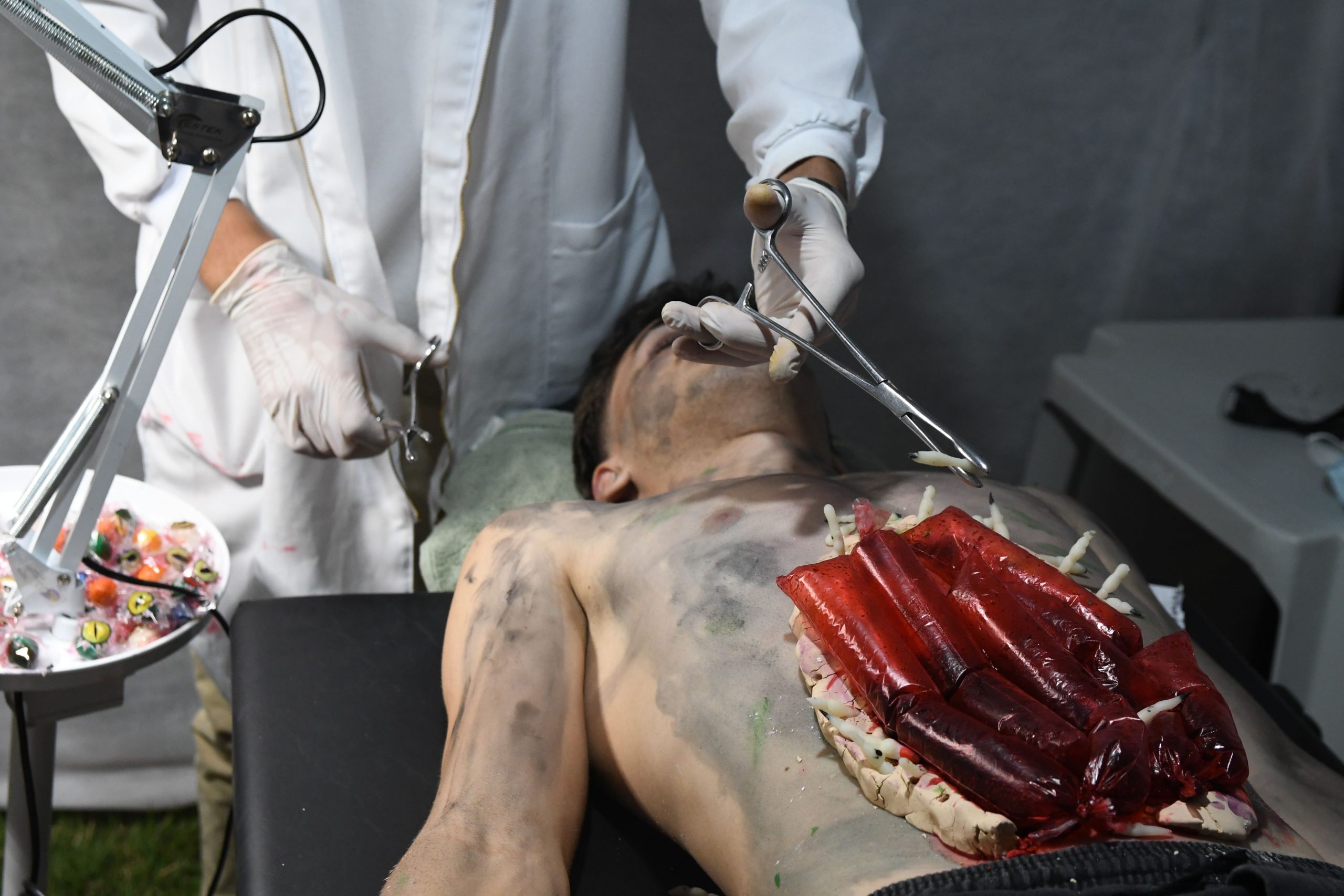 XI Mostra de Anatomia da Unileão é a maior edição já realizada e destaca criatividade e interdisciplinaridade