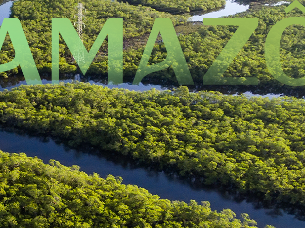 Dia da Amazônia: Unileão destaca a importância da contribuição da sociedade para a proteção da floresta amazônica