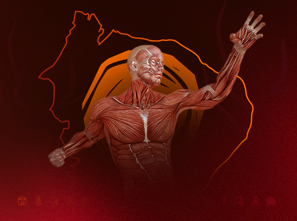 Unileão realiza XII Mostra de Anatomia Humana Artística e Comparada em novembro