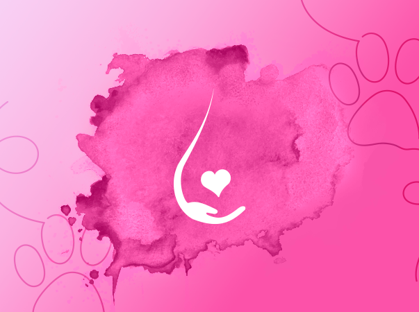 Educar para prevenir: pinte o Outubro de Rosa