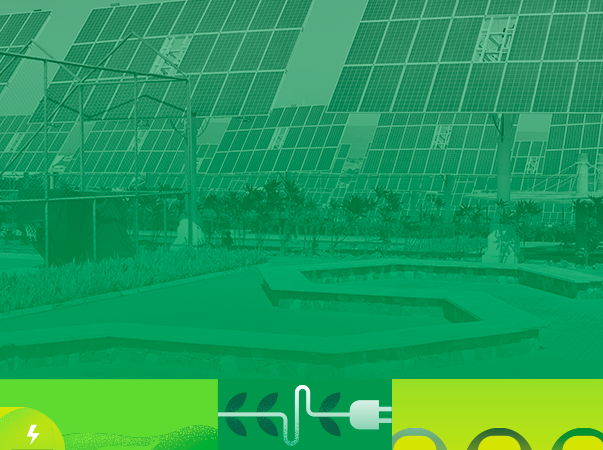 Como a sustentabilidade está no DNA da Unileão