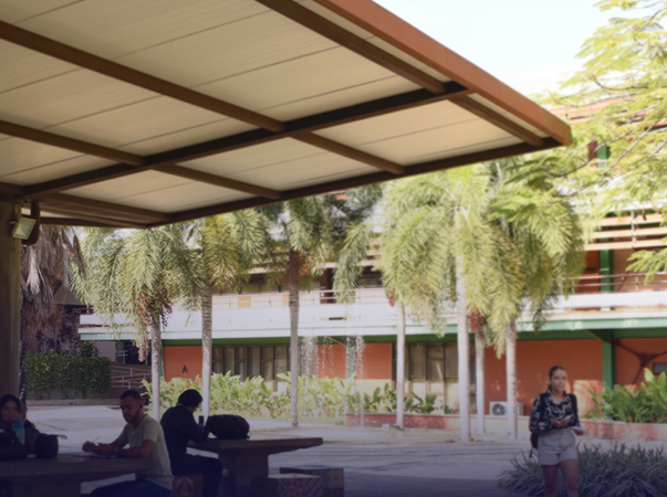 Unileão celebra aprovação de três docentes em programas de Doutorado