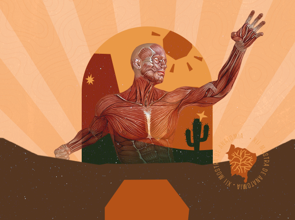 Unileão promove XIII Mostra de Anatomia Humana Artística e Comparada na próxima terça-feira (3)