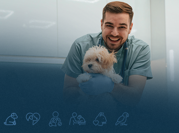 Projeto “Vivenciando a Medicina Veterinária” abre 134 vagas e cadastro de reserva