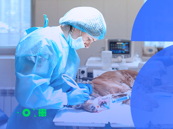 Unileão lança 4ª turma da pós-graduação em Clínica Médica e Cirúrgica de Pequenos Animais