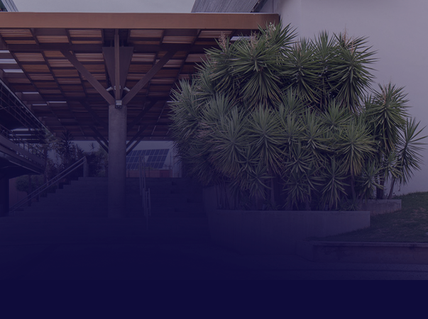 Liga Acadêmica de Enfermagem tem 6 trabalhos aprovados em evento