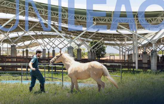 Unileão recebe 1ª Residência em Medicina Veterinária do Cariri