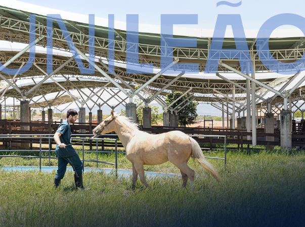 Unileão recebe primeira Residência Uniprofissional em Medicina Veterinária do Cariri, reconhecida pelo MEC