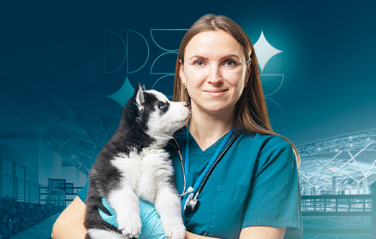 Residência Veterinária Unileão: inscrições abertas