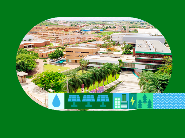 Sustentabilidade na Unileão: ensino que vira ação na comunidade